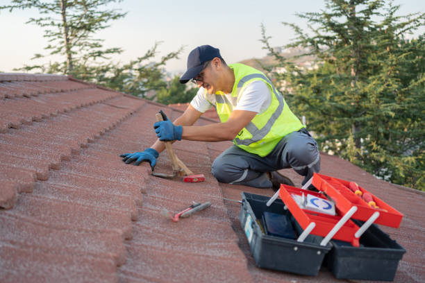 Best Roof Maintenance Services  in Marion, NC