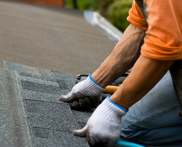 Best Roof Repair Specialists  in Marion, NC